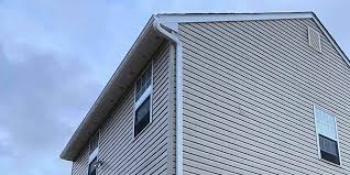 Best Custom Trim and Detailing for Siding  in Roanoke, AL